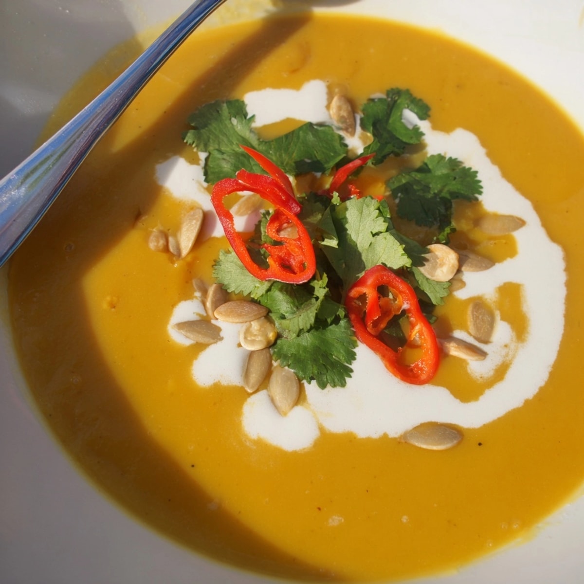 Golden Thai Butternut Squash Soup recipe: imagine savory spices and sweet coconut aromas.